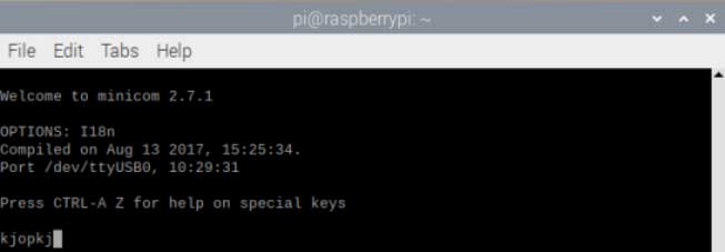 Raspberry Pi Minicom Receiving Data